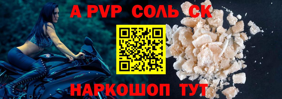A PVP СК КРИС Аргун