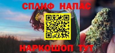 гидра Аша