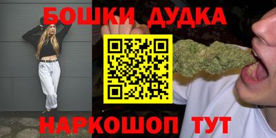 гидра Аша