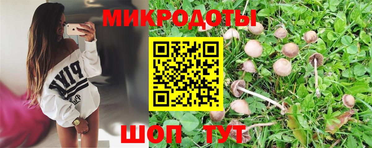 Псилоцибиновые грибы мухоморы Аргун